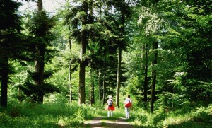 Eine ausgedehnte Frühjahrswanderung ist gut für den Kreislauf und steigert das persönliche Wohlbefinden.